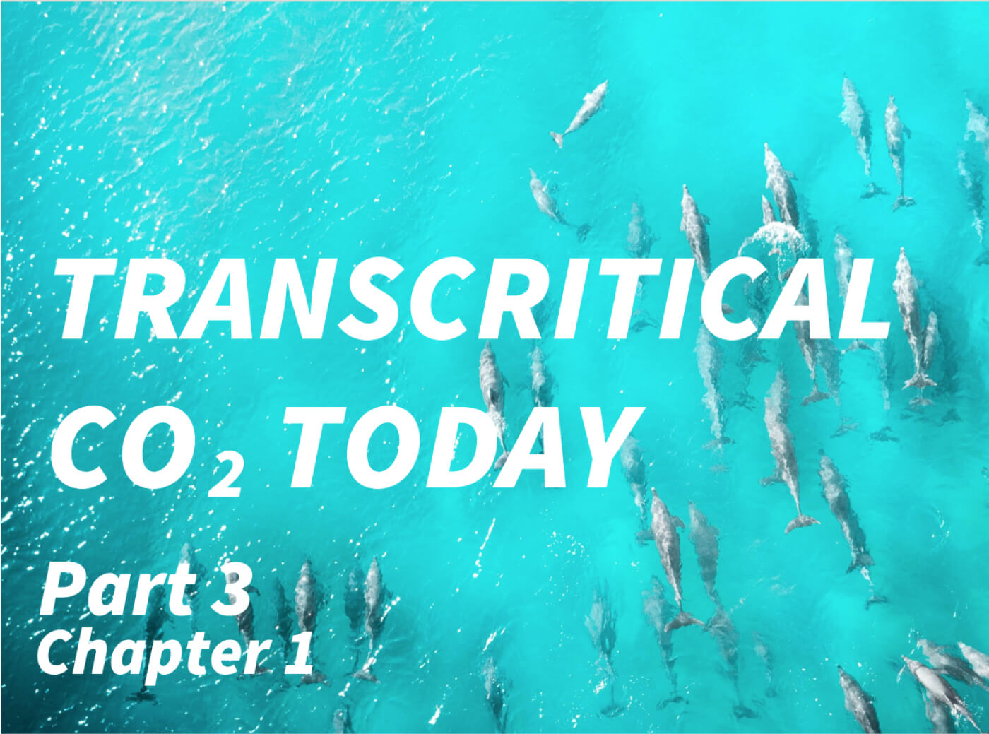 Transcritical CO₂ today. Part 3. Chapter 1.