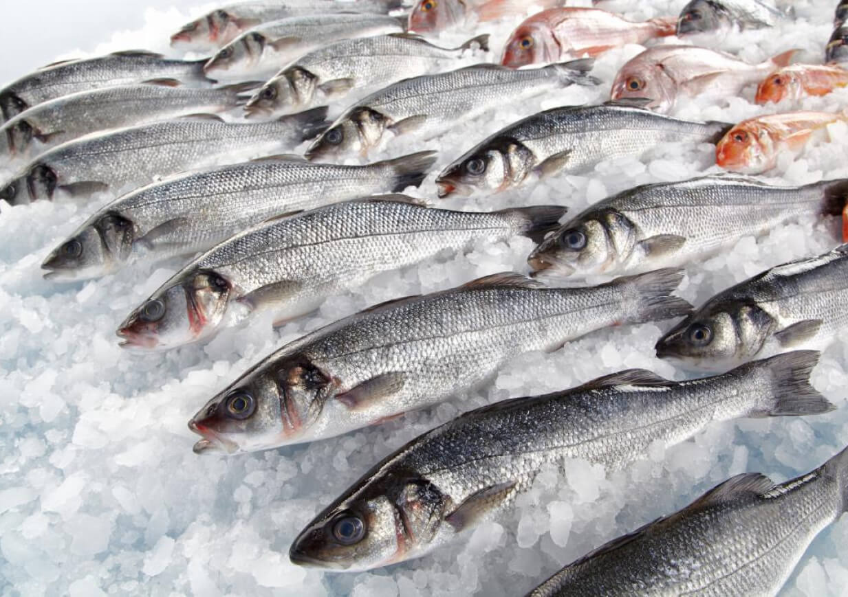 A new approach to fish frosting